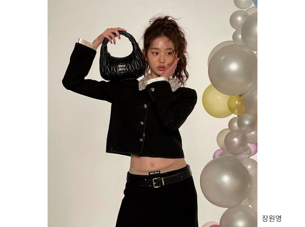 미우미우 아르카디백 스몰 - 허시백 가방