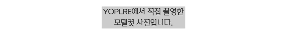 미우미우 아르카디백 레귤러 - 허시백 가방